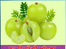 Amla Ke Fayde in Punjabi