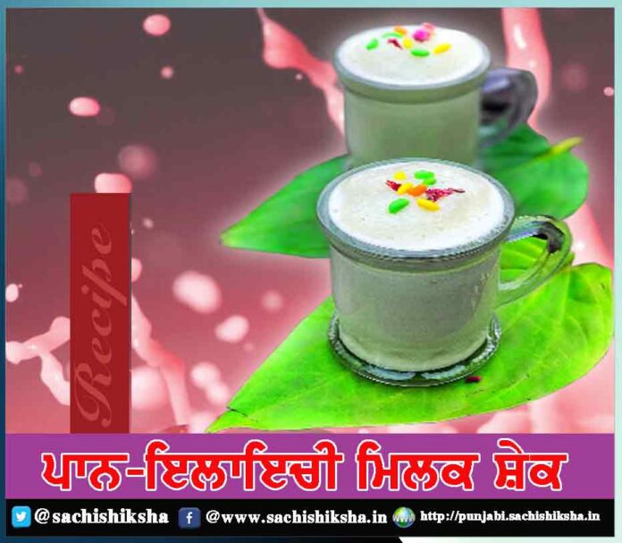 Paan Elaichi Milk Shake Recipe in Punjabi