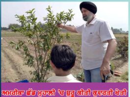 Natural Farming in Mohali