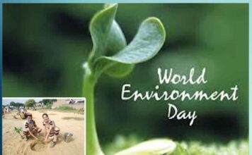 dera sacha sauda commendable contribution in preventing environmental pollution