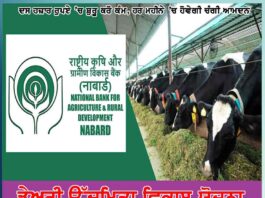 government scheme for farmers central government schemes dairy entrepreneurship development plan deds