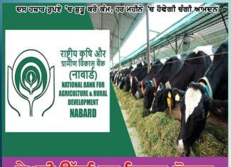 government scheme for farmers central government schemes dairy entrepreneurship development plan deds