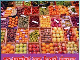 fruits and vegetables