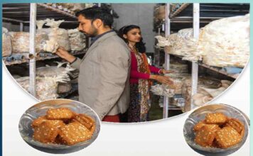 shekhawat family became an example in oyster farming