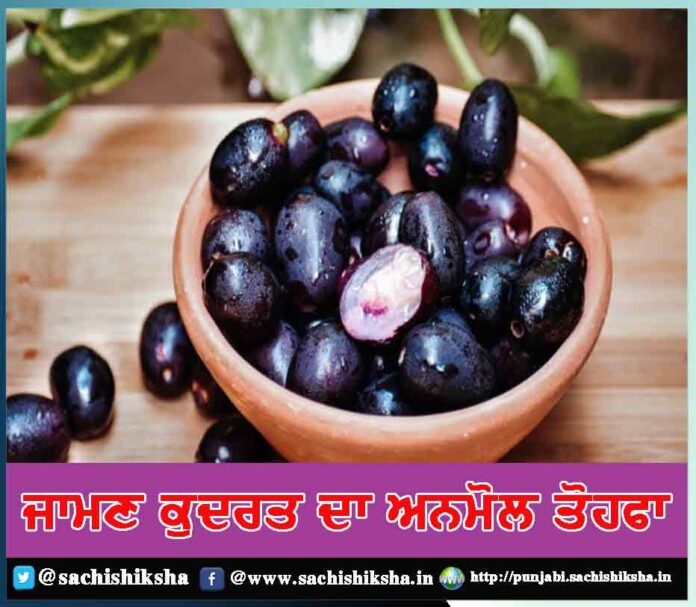 jamun is a priceless gift of nature