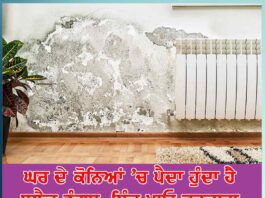 get rid of black fungus spread in the corners of the house