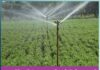 micro-irrigation-scheme