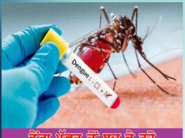 ਡੇਂਗੂ ਮੱਛਰ ਤੋਂ ਬਚ ਕੇ ਰਹੋ stay away from dengue mosquito