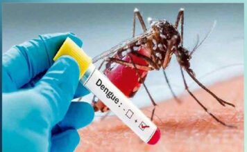 stay away from dengue mosquito