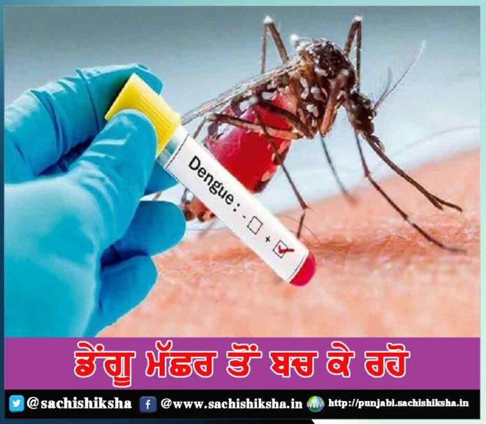 stay away from dengue mosquito