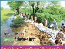 Shah Satnam Ji Green S Welfare Force Wing