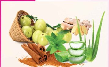herbs increase energy