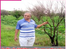 leaving business and earning a name from integrated farming