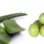 amla-aloe-vera-juice-500×500