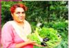 better species of brinjal prepared after years of research