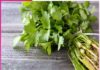Do you know the benefits of coriander leaves?