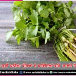 Do you know the benefits of coriander leaves?