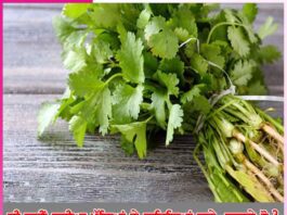 Do you know the benefits of coriander leaves?