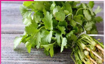 Do you know the benefits of coriander leaves?