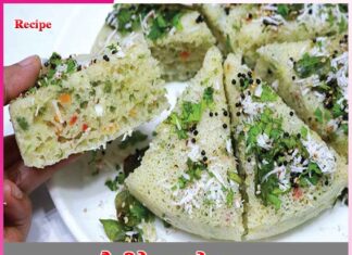 Vegetable Dhokla recipe in punjabi