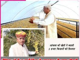 Icon of organic farming and marketing Kailash Choudhary