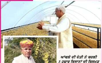 Icon of organic farming and marketing Kailash Choudhary