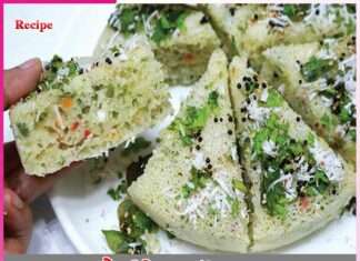 Vegetable Dhokla recipe in punjabi