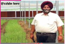 rajpal gandhi gave new dimension to stevia cultivation
