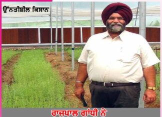 rajpal gandhi gave new dimension to stevia cultivation