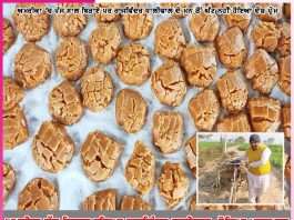 started the business of making jaggery after returning home became rich