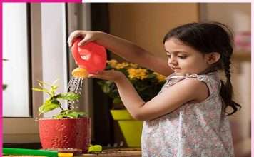 protect plants from heat