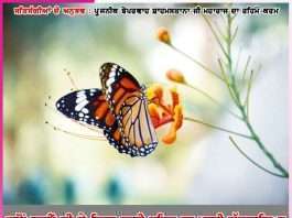 when sai ji left the water of the canal without a turn experiences of satsangis -sachi shiksha punjabi