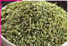 great properties are hidden in fennel -sachi shiksha punjabi