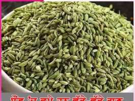 great properties are hidden in fennel -sachi shiksha punjabi