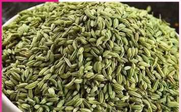 great properties are hidden in fennel -sachi shiksha punjabi