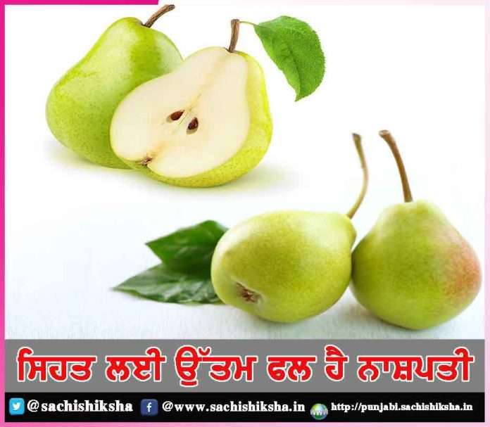 pear is the best fruit for health -sachi shiksha punjabi