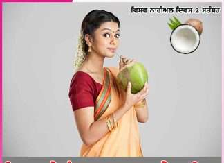 coconut is a treasure trove of health and beauty world coconut day -sachi shiksha punjabi