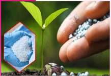 identify fake and adulterated fertilizers -sachi shiksha punjabi