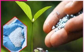 identify fake and adulterated fertilizers -sachi shiksha punjabi