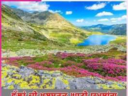 yumthang beautiful valley of flowers -sachi shiksha punjabi