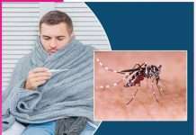 beware of their dengue sting -sachi shiksha punjabi