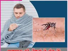 beware of their dengue sting -sachi shiksha punjabi
