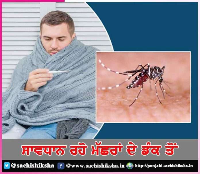 beware of their dengue sting -sachi shiksha punjabi