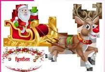 christmas festival of love and brotherhood -sachi shiksha punjabi