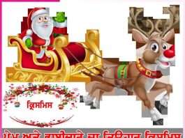 christmas festival of love and brotherhood -sachi shiksha punjabi