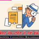 New tips best jobs -sachi shiksha punjabi