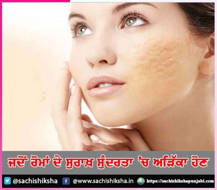 Beauty TIps Punjabi -sachi shiksha punjabi