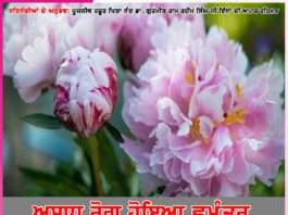 Experiences of Satsangis