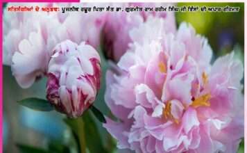 Experiences of Satsangis