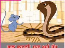 Snake Aur Rat